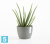 Настольное Кашпо Ecopots Stockholm, серое 16-d, 12-h