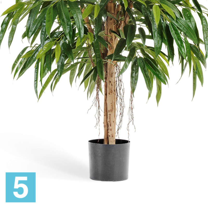 Лонгифолия Роэйчерел искусственная TREEZ Collection 150h
