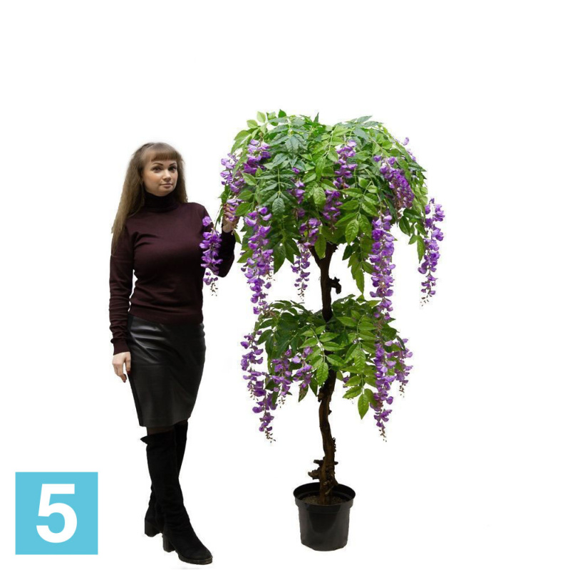 Глициния искусственная Alseed, вистерия, сиреневая, латекс, h-170  см.