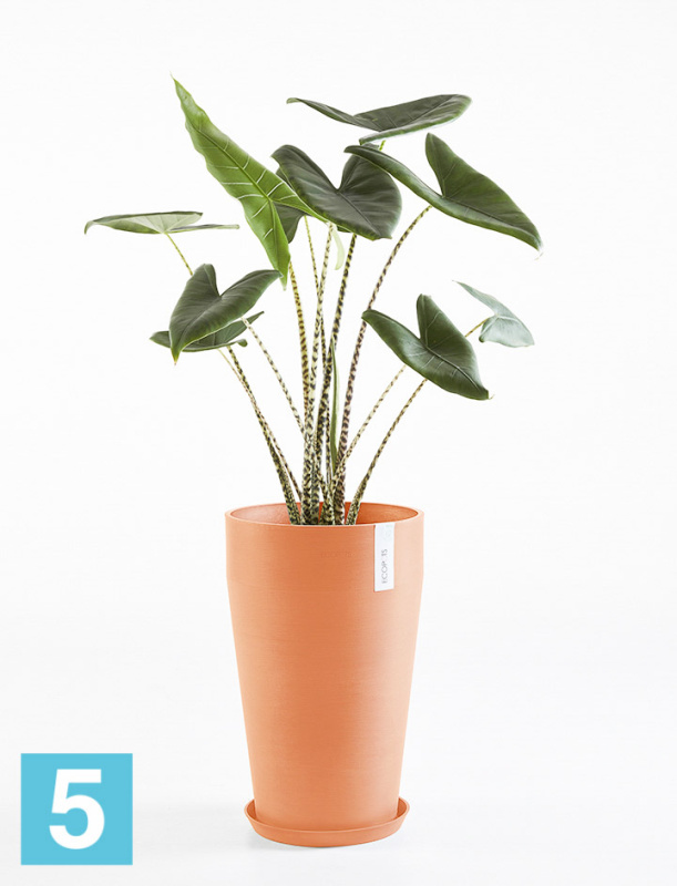 Высокое кашпо Ecopots Sankara-MH, терракотовое 35-d, 55-h