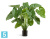 Алоказия Калидора искусственная TREEZ Collection куст большой
