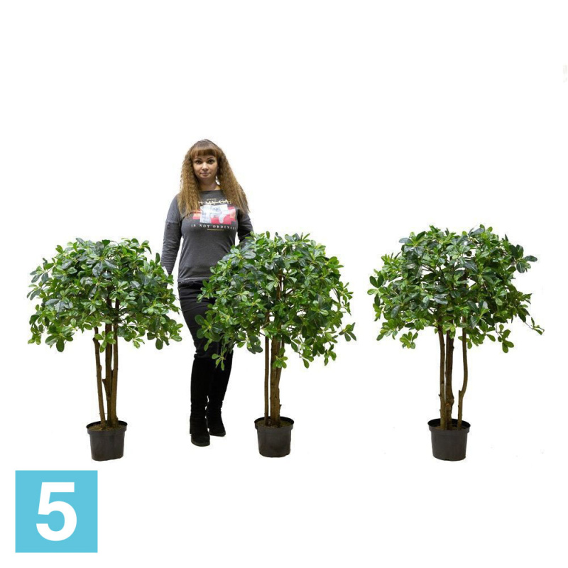 Шефлера искусственная Alseed, h-110 см., латекс