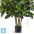 Фикус Эластика куст искусственный TREEZ Collection зелёный большой 120h
