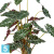 Алоказия 110 искусственная TREEZ Collection
