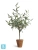 Олива искусственная TREEZ Collection Элегант (серия Prime) в керамическом кашпо 85h Олива искусственная TREEZ Collection Элегант (серия Prime) в керамическом кашпо 85h
