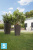 Кашпо с автополивом Lechuza Cubico Cottage, черное графит 30-l, 30-w, 56-h