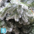 Искусственная елка Royal Christmas заснеженная Nashville, ПВХ + флок, 210-h