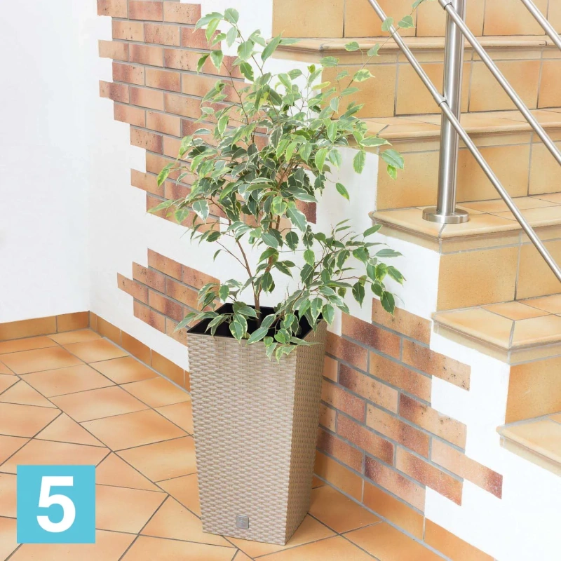 Кашпо с автополивом Prosperplast RATO SQUARE, мокко 40-l, 40-w, 75-h