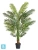 Пальма искусственная TREEZ Collection Арека Хризалидокарпус New 210h