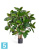 Фикус искусственный TREEZ Collection Эластика куст зеленый 90h