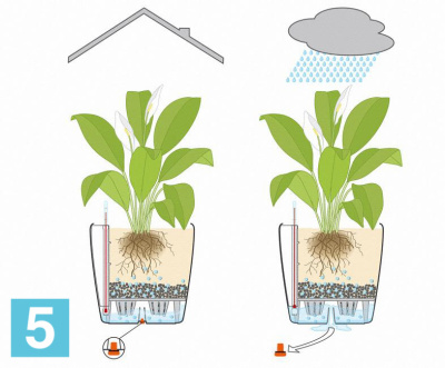 Кашпо с автополивом Lechuza Classico Color, мускатный орех 21-d, 20-h