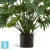Филодендрон Ксанаду куст искусственный TREEZ Collection 75h