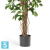 Фикус искусственный TREEZ Collection Бенджамина Лиана 150h