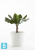 Напольное кашпо Ecopots Amsterdam, светло-серое 40-d, 35-h
