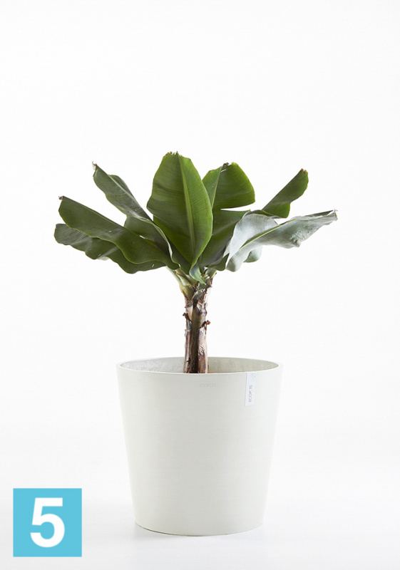 Напольное кашпо Ecopots Amsterdam, светло-серое 40-d, 35-h