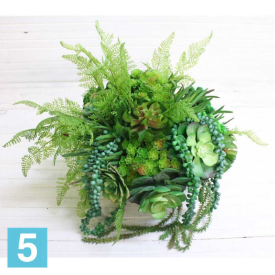 Композ. из суккулент. в кашпо искусственная Alseed, d-22, d-40