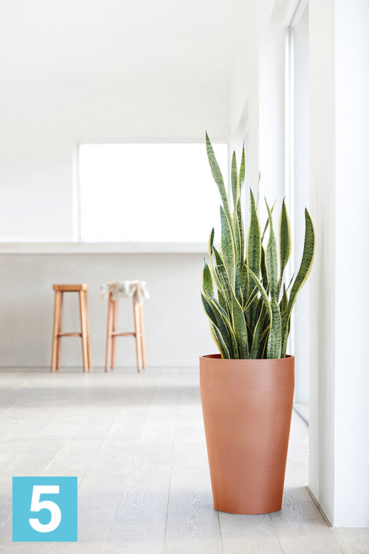 Высокое кашпо Ecopots Sankara-H, терракотовое 45-d, 75-h