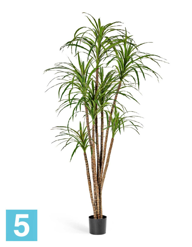 Драцена Маргината искусственная TREEZ Collection 150h