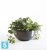 Настольное Кашпо Ecopots Brussels, антрацит 30-d, 14-h