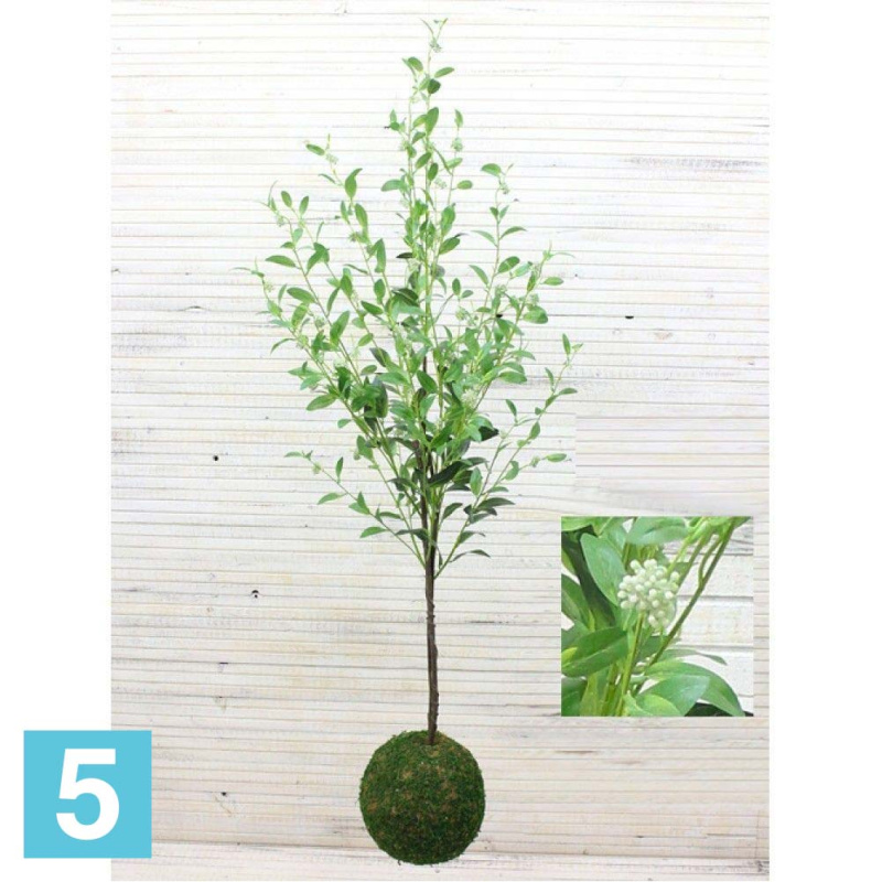 Кокедама искусственная Alseed, d-27 Дерен с соцветием, h-150 см.