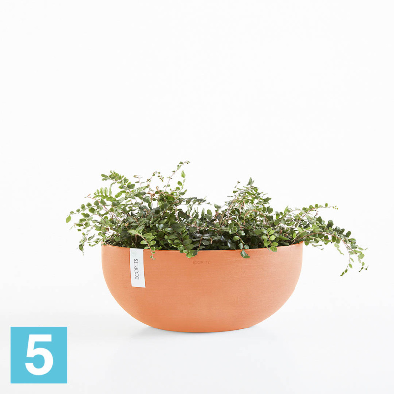 Напольное кашпо Ecopots Sofia Big, терракотовое 43-l, 25-w, 17,5-h