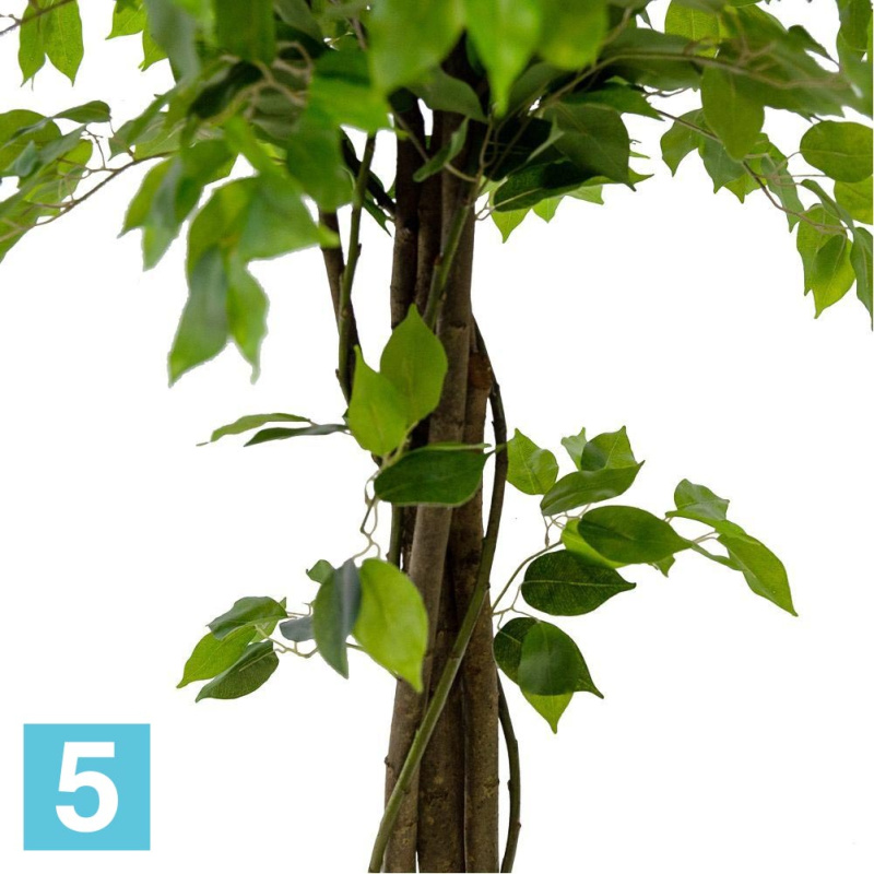 Фикус искусственный Alseed, h-160 см., латекс, с плетеным стволом