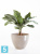 Напольное кашпо Ecopots Antwerp, серо-коричневое 50-d, 40-h