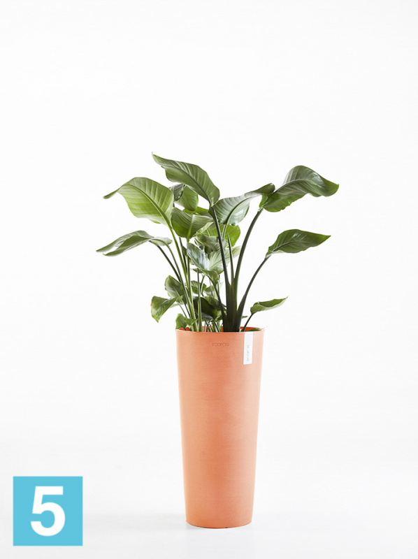 Высокое кашпо Ecopots Amsterdam-H, терракотовое 32-d, 70-h
