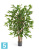 Драцена искусственная TREEZ Collection Саркула Спотти 120h