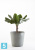 Кашпо с автополивом Ecopots Amsterdam, серое 40-d, 35-h