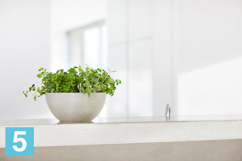 Настольное Кашпо Ecopots Brussels, светло-серое 30-d, 14-h