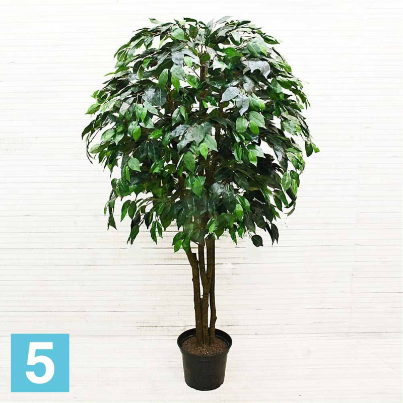 Фикус искусственный Alseed, h-160 см.