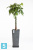 Высокое кашпо Ecopots Rotterdam-H, антрацит 32-l, 32-w, 70-h