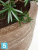 Кашпо Polystone coated junar couple, каменное d-90 h-72 см