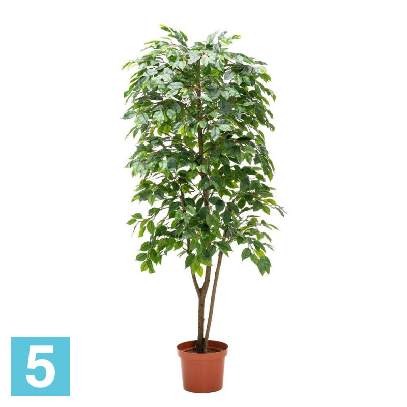 Фикус разноуровневый зеленый искусственный Alseed, латекс, h-160 см.