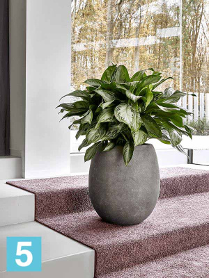 Кашпо Polystone coated plain, шар, сырое серое, со вставкой d-52 h-68 см