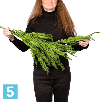 Лиана с Нефролеписом искусственная Alseed, l-100 см.