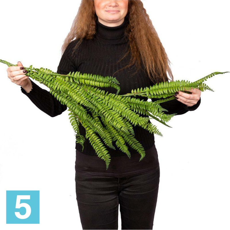 Лиана с Нефролеписом искусственная Alseed, l-100 см.