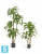 Драцена искусственная TREEZ Collection Джанет Крейг бело-зеленая 125h Драцена искусственная TREEZ Collection Джанет Крейг бело-зеленая 125h