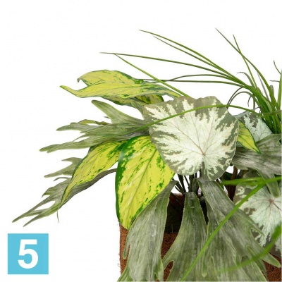 Зеленый микс с ампельными растениями искусственный Alseed, h-30-35 см., латекс, в кокосовом боксе 50*20*10 в #REGION_NAME_DECLINE_PP#