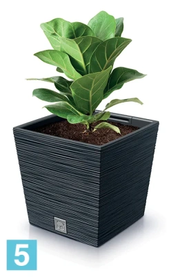 Кашпо Prosperplast FURU Square Low, бетон 29,5-l, 29,5-w, 29-h