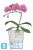 Lechuza Mini Deltini кашпо, белое 10-l, 10-w, 13-h