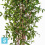 Драцена искусственная TREEZ Collection Саркула Спотти 210h