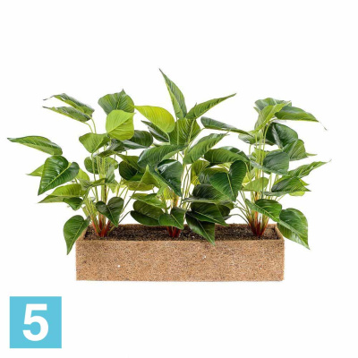 Сциндапсус искусственный Alseed, h-35 см. в кокосовом боксе, латекс, 50*10*10