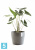 Напольное кашпо Ecopots Sankara, антрацит 40-d, 35-h