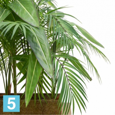 Композиция с пальмой Арека искусственная Alseed, h-70-75 см., латекс, в кокосовом боксе 88*8*8 в #REGION_NAME_DECLINE_PP#