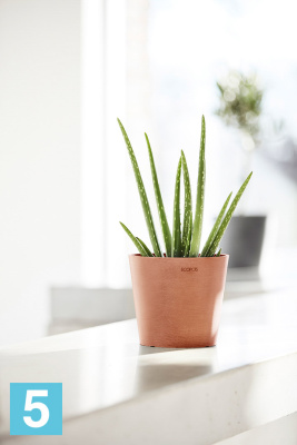 Настольное Кашпо Ecopots Amsterdam, терракотовое 20-d, 18-h в #REGION_NAME_DECLINE_PP#