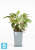 Высокое кашпо Ecopots Rotterdam-MH, серое 30-l, 30-w, 50-h