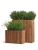Кашпо TREEZ Effectory Timberline Низкий узкий дивайдер, тёмное дерево 73-l, 27-w, 50-h