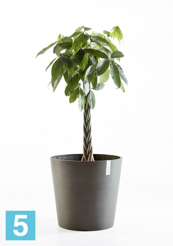 Кашпо с автополивом Ecopots Amsterdam, антрацит 30-d, 26-h